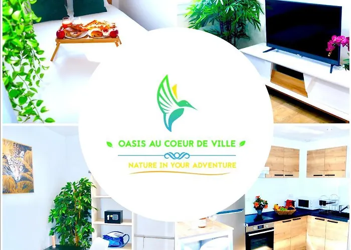Oasis Au Coeur De Ville Sens